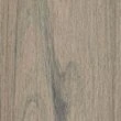 Trex Transcend Lineage · Biscayne color sample